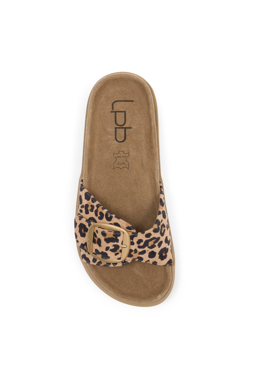 COMPENSEES NOELIA LEOPARD SUEDINE