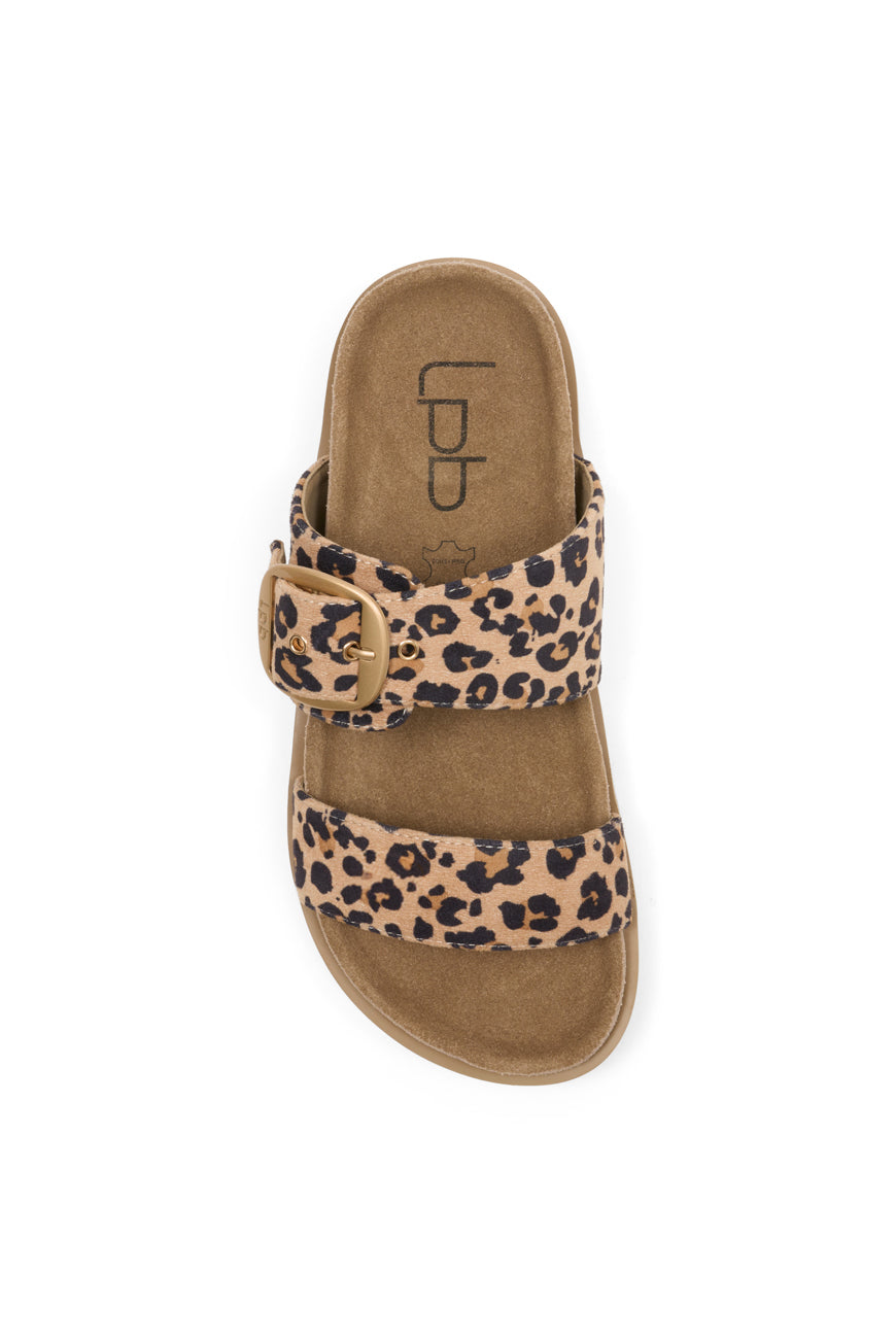 COMPENSEES NOELLANIE LEOPARD SUEDINE