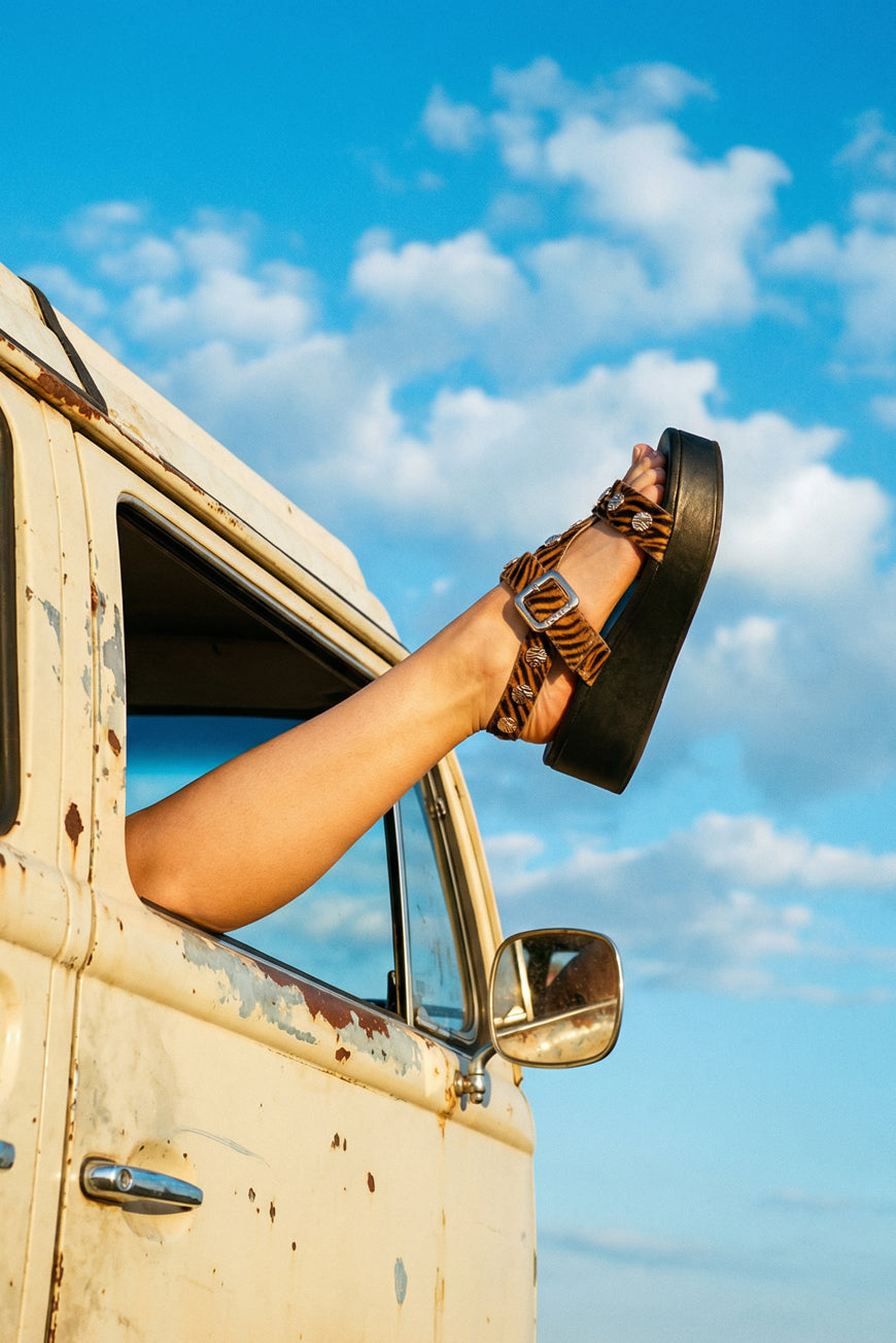 COMPENSEES NEHIR CAMEL ZEBRE